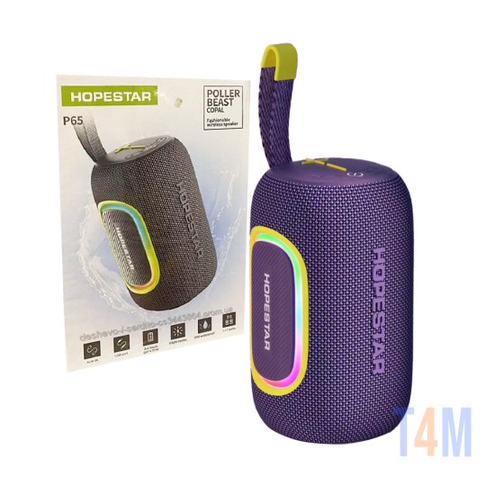 Hopestar Bluetooth Speaker P65 Purple